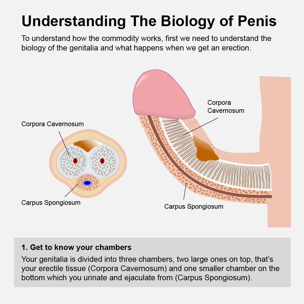 Penis Enlargement Pumps Penis Pump Enlargement Adult Sex Toy Dick Enlarger Pump