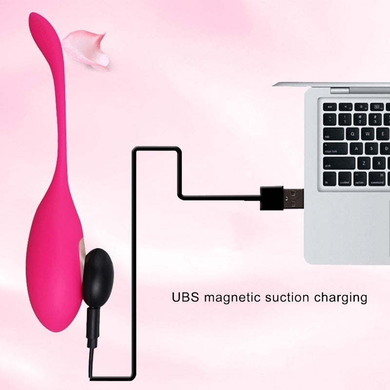 16 Modes Vibrating Wireless Remote Vibrator Body Massage Sex Egg Waterproof Adult Sex Toy for Female