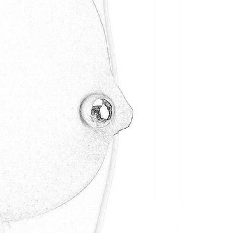 2/4/6/20/30/40pcs Steel Earring Studs Balls Body Piercings Nose Ring Eyebrow Piercings Screw Balls Replacement Attachments Rings Ball for Women/Men