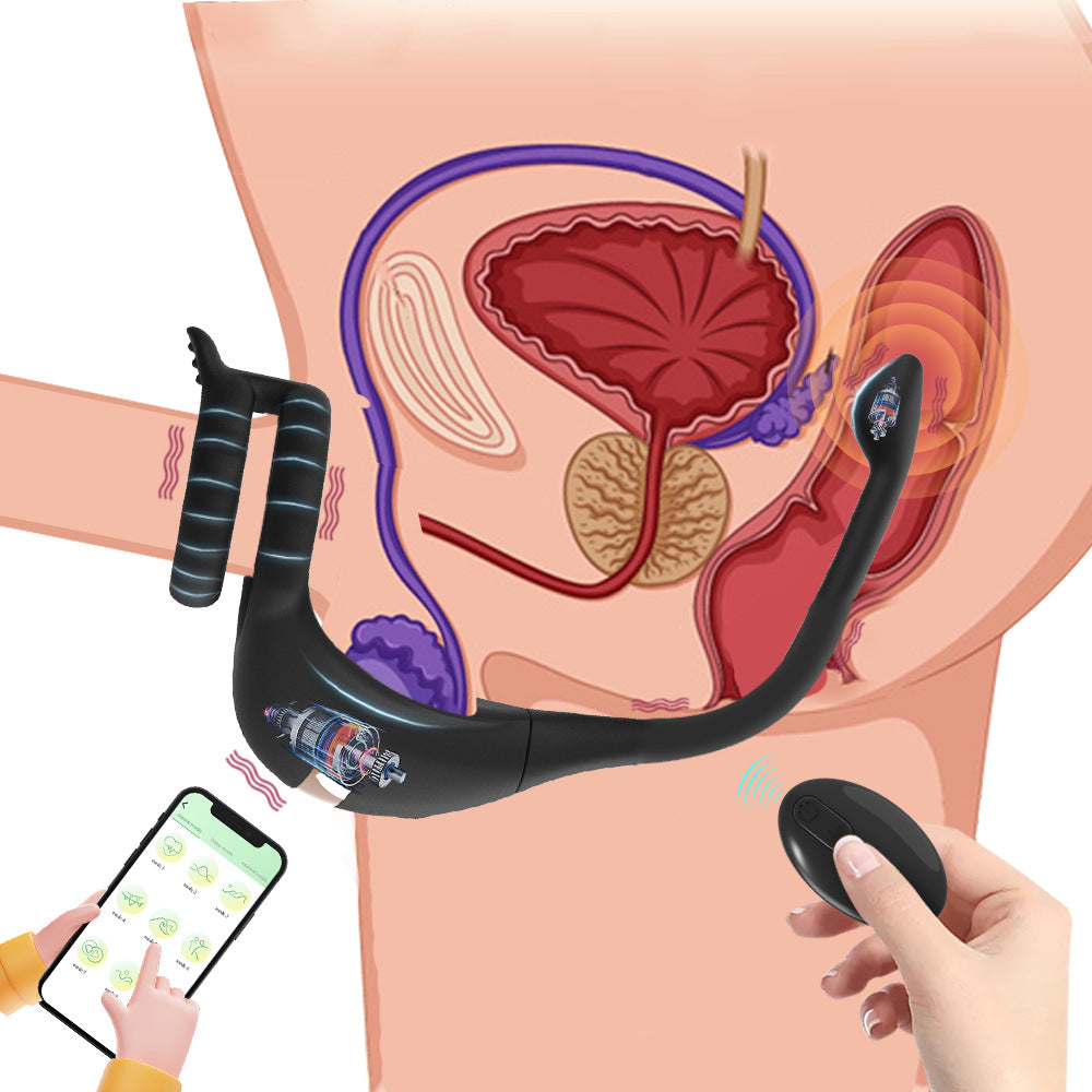 【APP Application】Wholesale from adult products manufacturers, Dragon Knight APP remote control double ring double shock lock fine ring backyard silicone anal plug couple